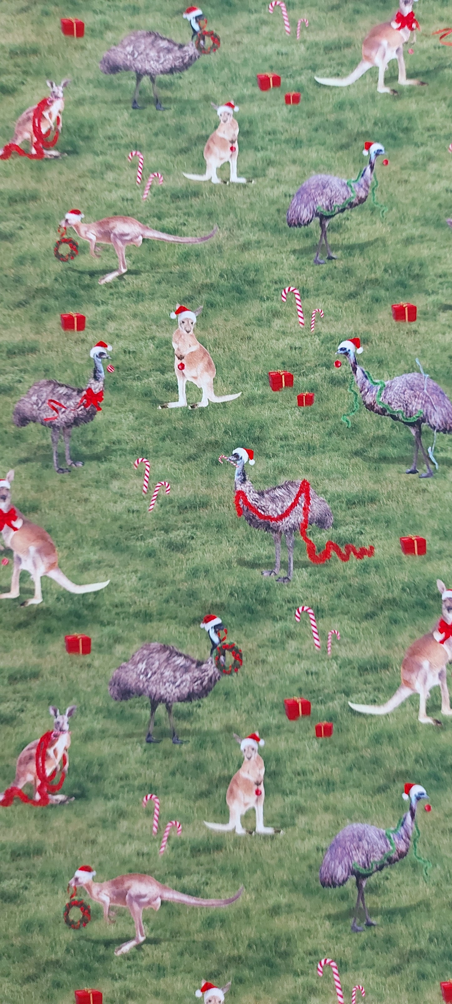 The Night Before Christmas - Festive Emu & Kangaroo