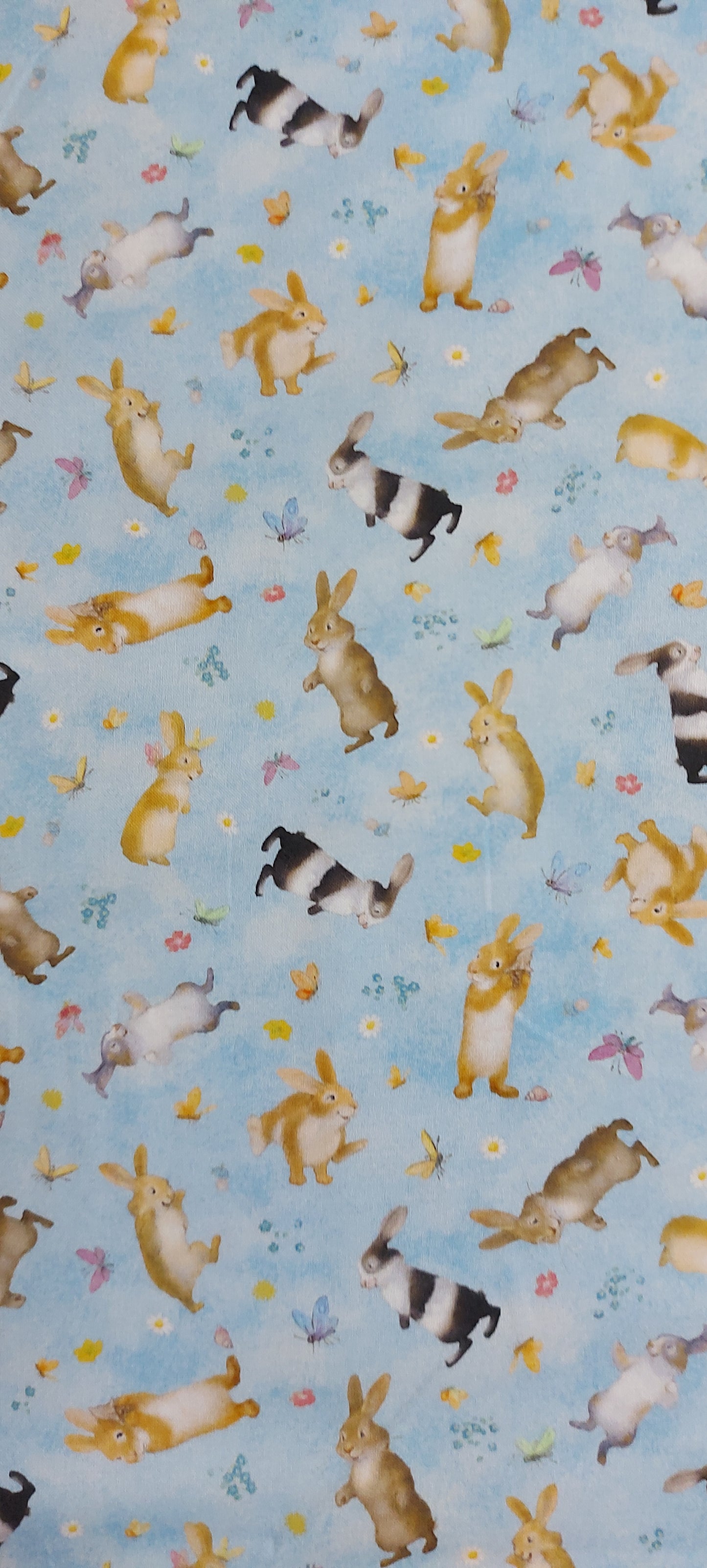 Honey Bunny