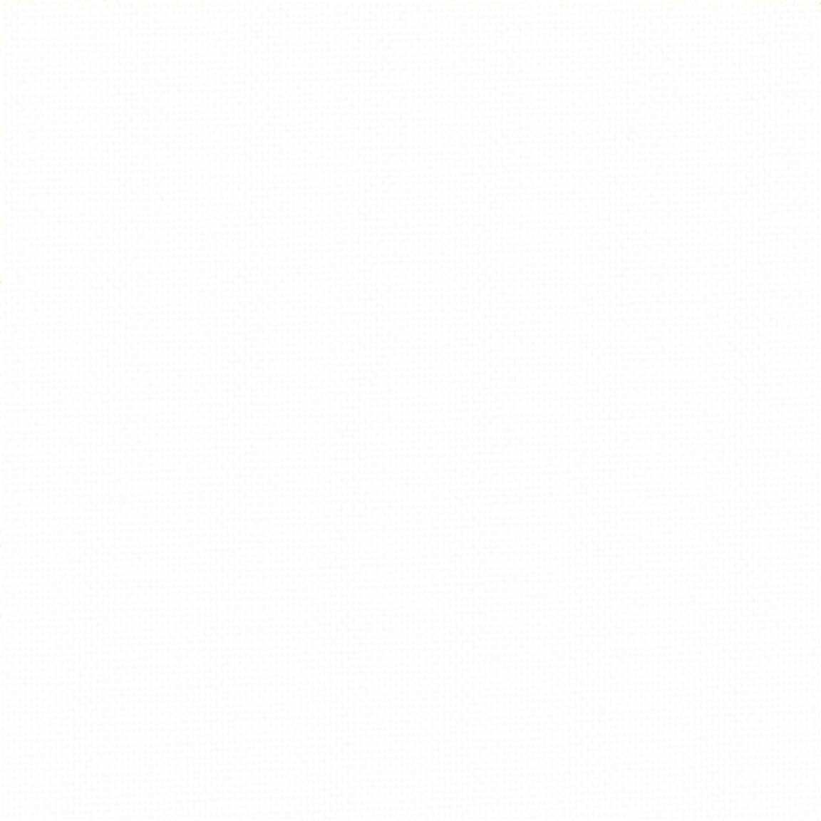 Devonstone Solids - DV002 - Bright White