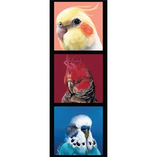 Chris Riley Collection - Birds - Cockatiel etc