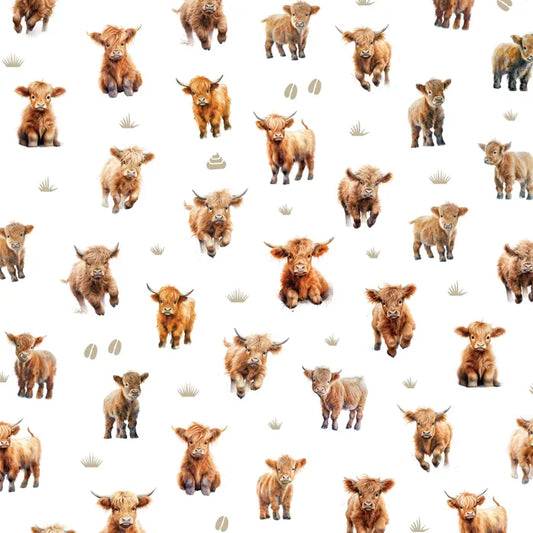 COOPS FARM - COWS - BROWN - BABY - WHITE BACKGROUND