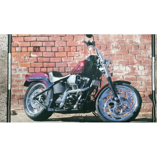 Burrangong Creek Motor Bikes - Panel