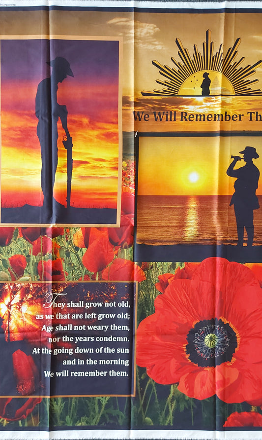 Remembering - We Will Remember Them - Panel